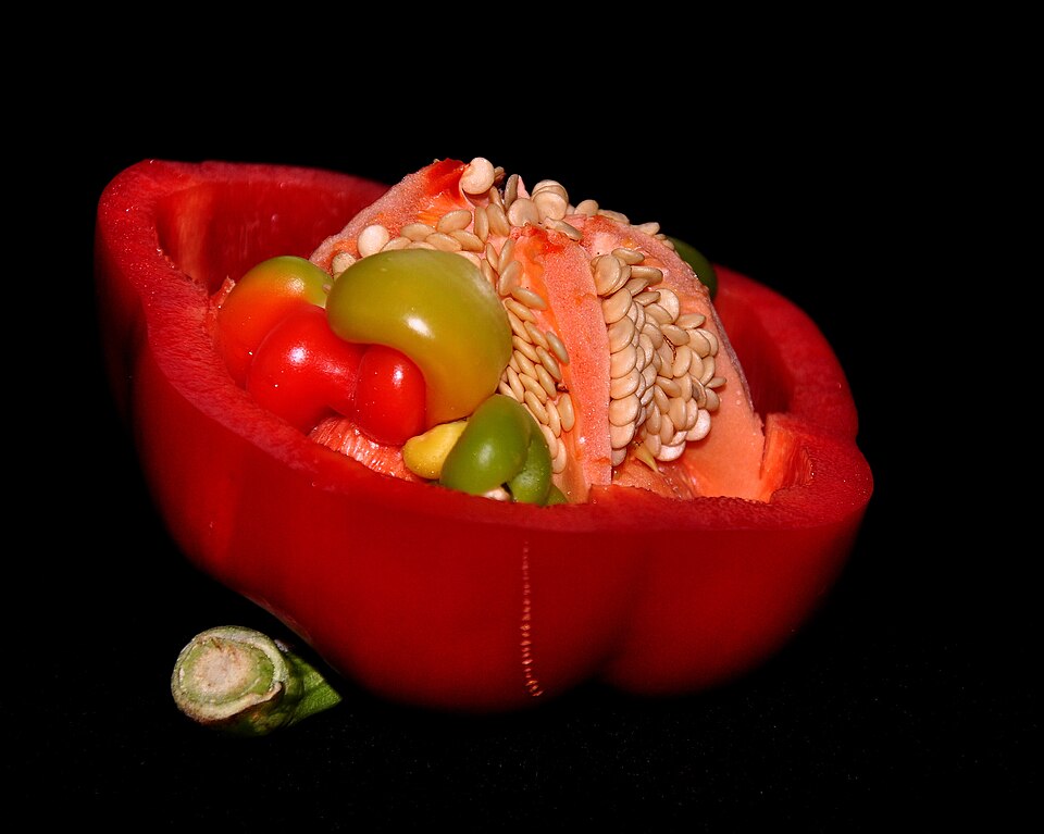 Red Bell Pepper